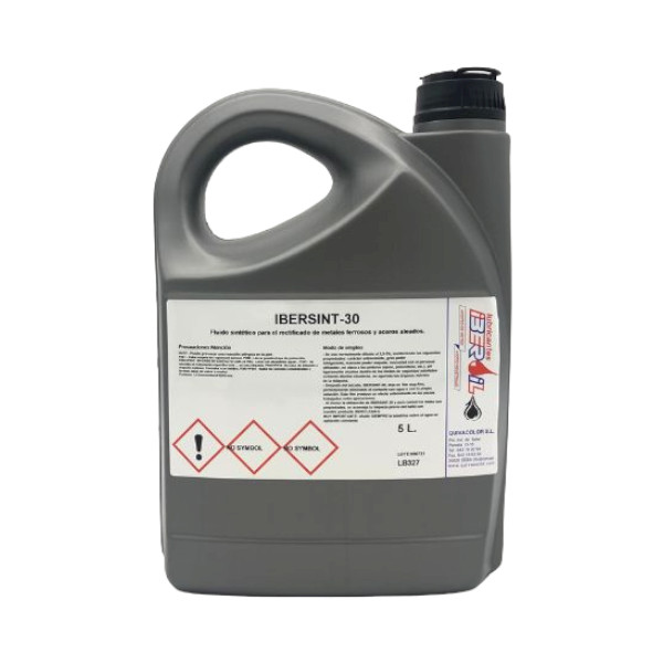 IBERSINT 30